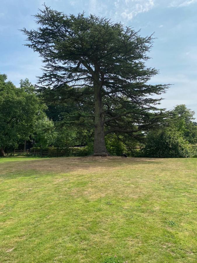 Coundon Lodge Coventry Kültér fotó