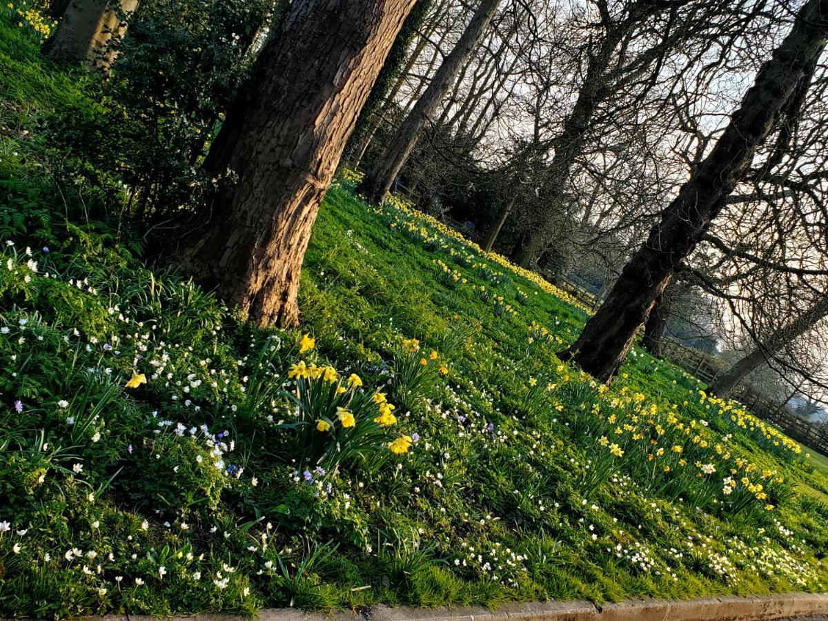 Coundon Lodge Coventry Kültér fotó
